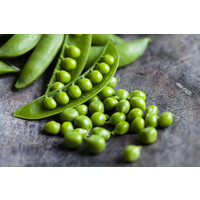 Kipragout, doperwten en rijst-natriumarm