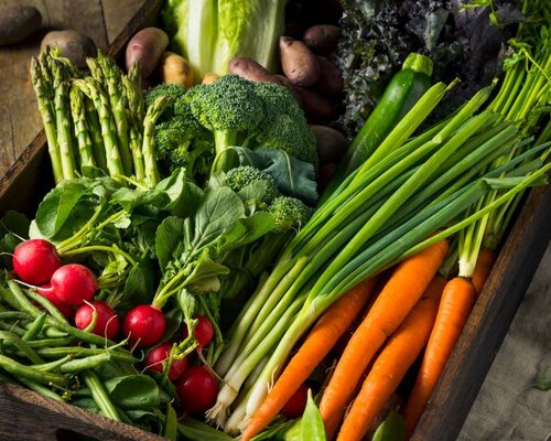 Visragout met Franse groentemix en gekookte aardappelen-natriumarm