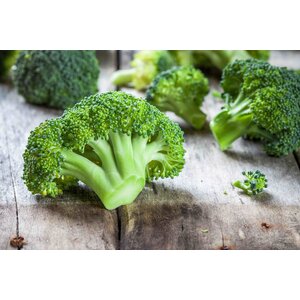 VEGA Chickles dipper jus, broccoli & puree VEGA Chickles dipper jus, broccoli & puree
