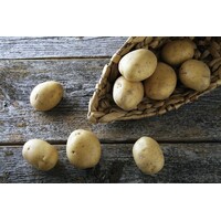 Speklap met spitskool & aardappels