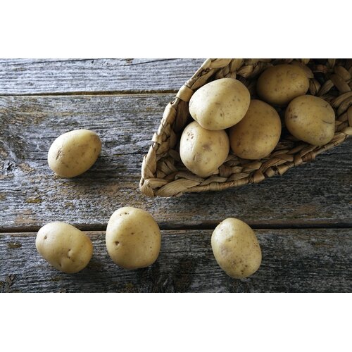 Speklap met spitskool & aardappels