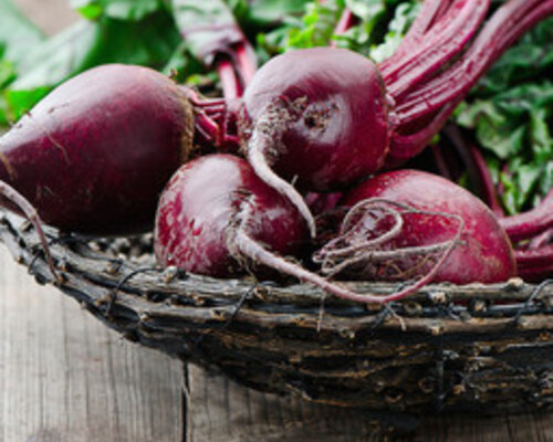 Kipschnitzel met jus, rode biet, appel en gekookte aardappel