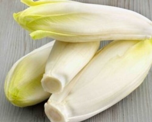 Sucadelap met jus, witlof en gekookte aardappels Sucadelap met jus, witlof en gekookte aardappels