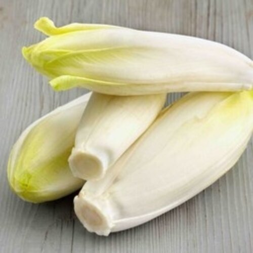 Sucadelap met jus, witlof en gekookte aardappels Sucadelap met jus, witlof en gekookte aardappels