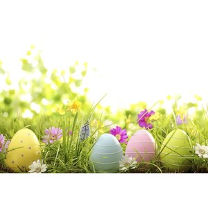 Pasen 3 gangen vleesmenu