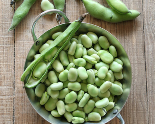 Kipvink met jus, tuinbonen met groentensaus aardappels - Copy