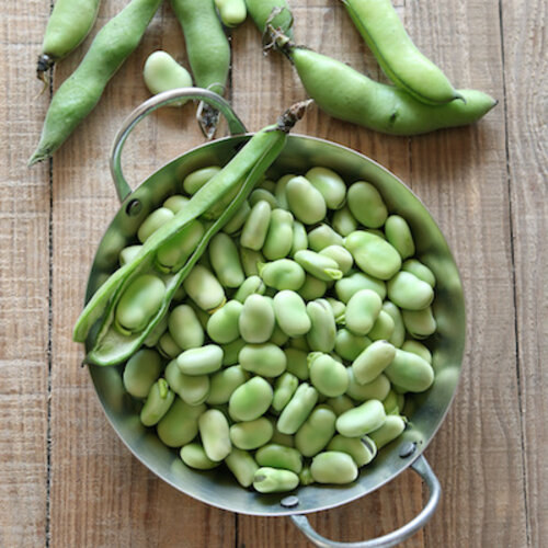 Kipvink met jus, tuinbonen met groentensaus aardappels - Copy