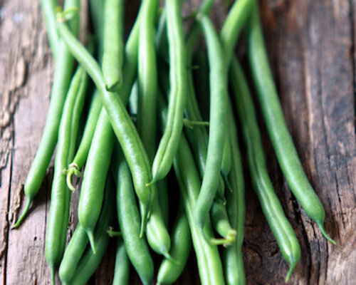 Varkenshaas in champignonroomsaus, haricots verts en aardappeltaartje