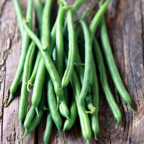 Varkenshaas in champignonroomsaus, haricots verts en aardappeltaartje