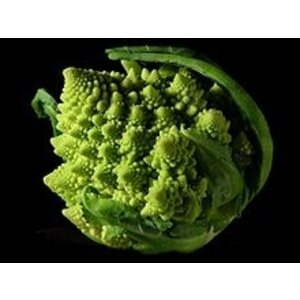 Hertensaucijs cranberry, romanesco & rostirondjes