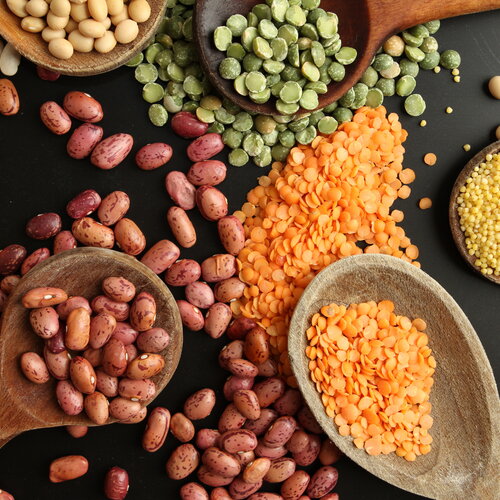 Boomstam met jus, witte bonen in tomatensaus en gekookte aardappels