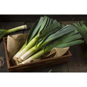 Tilapiafilet (vis) met prei & puree