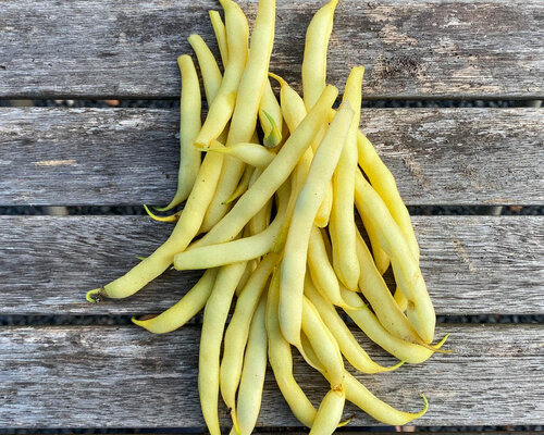 Kipfiletstukjes met katjangsaus (pindasaus met komkommer), boterbonen en witte rijst