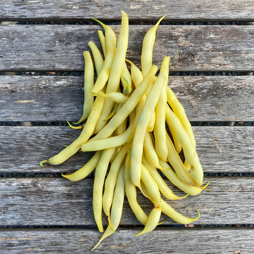 Kipfiletstukjes met katjangsaus (pindasaus met komkommer), boterbonen en witte rijst