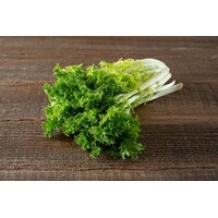 VEGA burger, andijvie & geb. aardappels