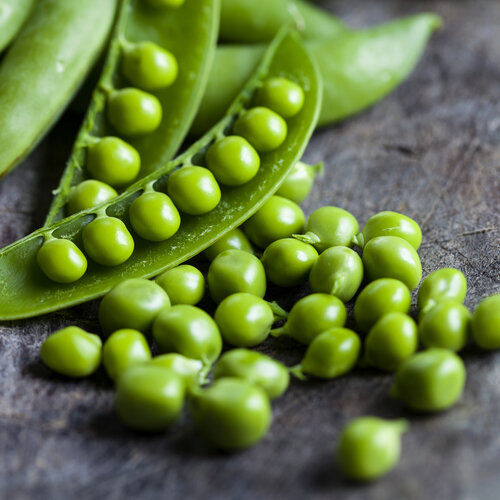 Koolvis in dillesaus, doperwten en aardappelpuree