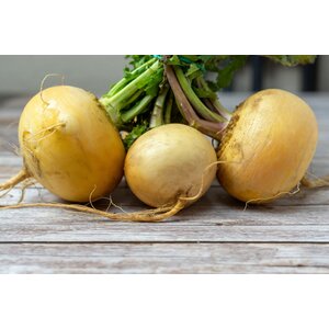 VEGA schnitzel & stamppot gele rapen