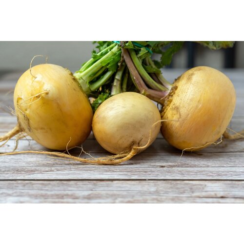 VEGA schnitzel & stamppot gele rapen