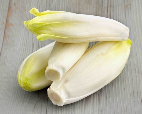 Varkenshaas in champignonsaus, witlof en aardappelgratin