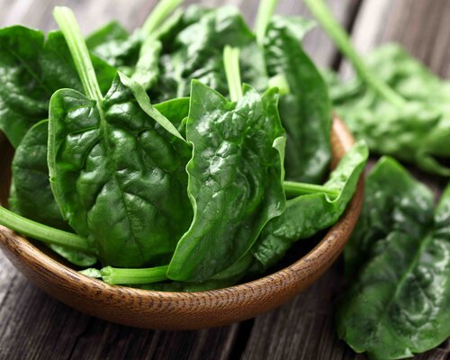 Koolvis met Hollandaisesaus, spinazie a la creme en aardappelpuree Koolvis met Hollandaisesaus, spinazie a la creme en aardappelpuree