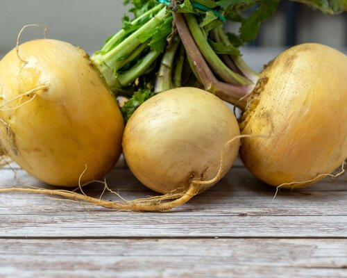 VEGA omelet met tomatensaus, gele raapjes en gebakken aardappels VEGETARISCH