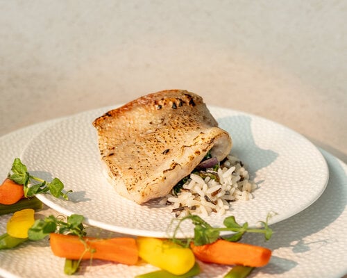 Roodbaarsfilet met tomaten/pestosaus, wortel rustica en wilde rijst