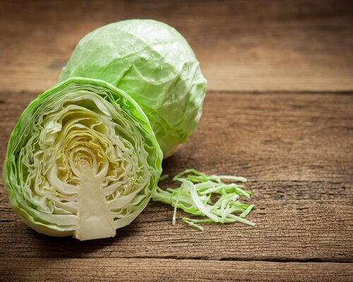 VEGA Groenteschijf, witte kool en gekookte aardappels VEGA Groenteschijf, witte kool en gekookte aardappels