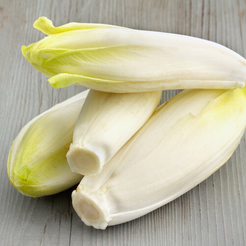 Kipgehaktbal jus witlof aardappelpuree IDDSI-5 - Gemalen Kipgehaktbal jus witlof aardappelpuree IDDSI-5 - Gemalen
