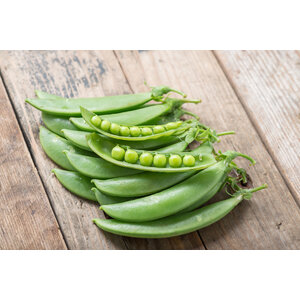 Kiprollade jus groene bonen aardappelpuree IDDSI-5 - Gemalen