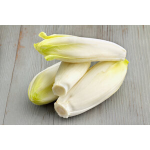Runderlap jus witlof aardappelpuree IDDSI-5 - Gemalen