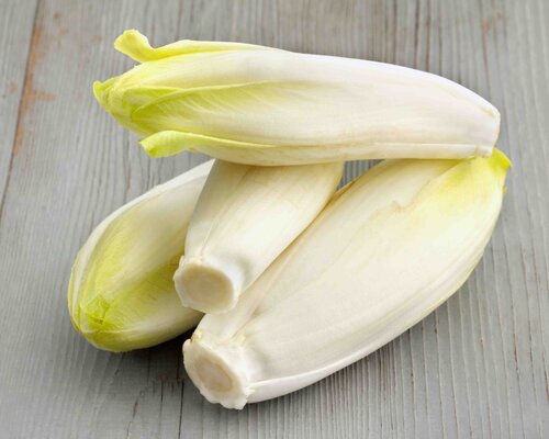 Slavink jus witlof aardappelpuree IDDSI-5 - Gemalen
