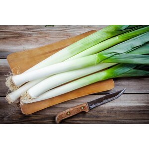 Slavink jus prei aardappelpuree IDDSI-5 - Gemalen
