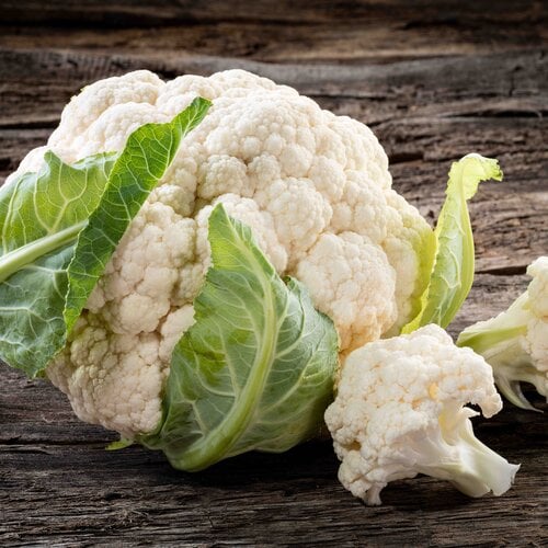 Vegetarische hachee bloemkool aardappelpuree IDDSI-5 - Gemalen Vegetarische hachee bloemkool aardappelpuree IDDSI-5 - Gemalen