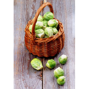 SMALL Procureurlapje met spruiten en puree