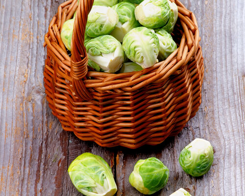 SMALL Procureurlapje met spruiten en puree SMALL Procureurlapje met spruiten en puree