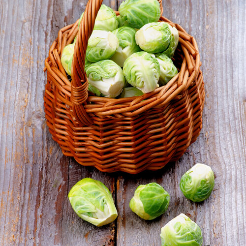 SMALL Procureurlapje met spruiten en puree SMALL Procureurlapje met spruiten en puree