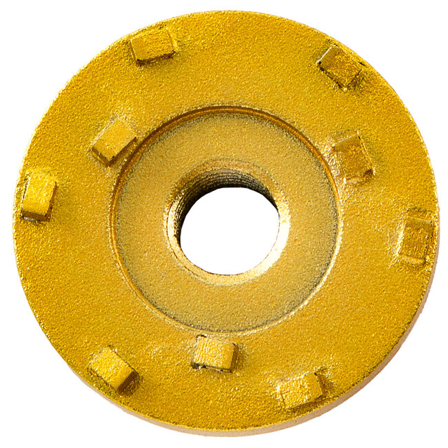 050/M14 Pristis komschijf 9 PKD segm. Small Goud