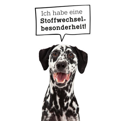 Unverträglichkeiten