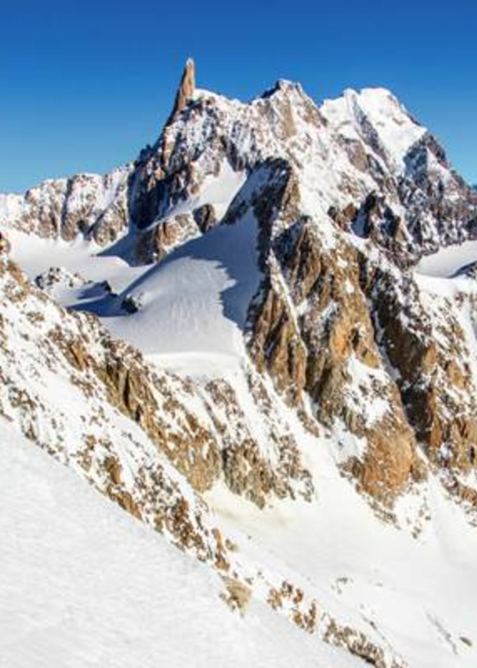 Snowgunz Snowgunz Monoski Alpine Rakete