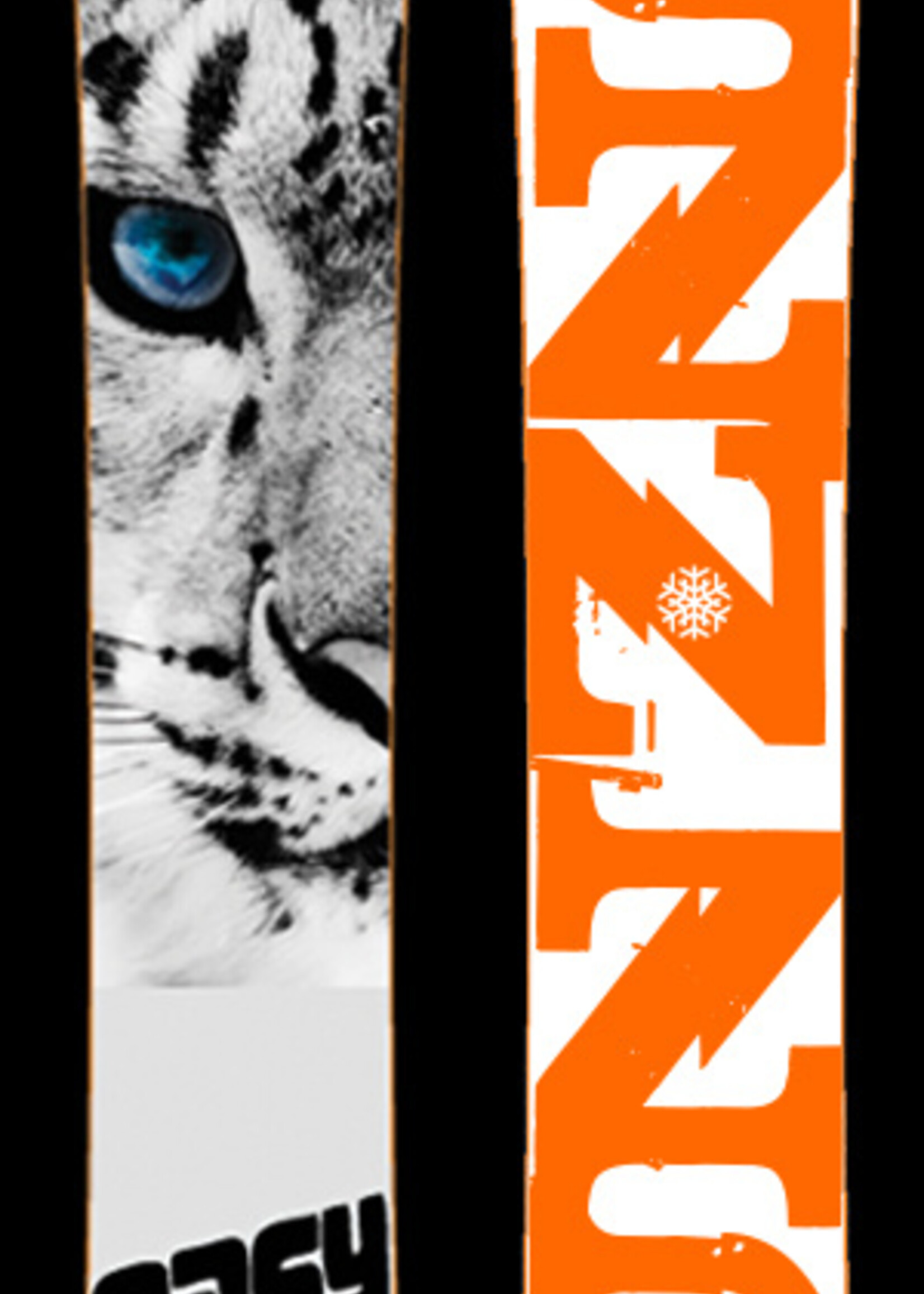 Snowgunz Monoski | Easy Ski Serie