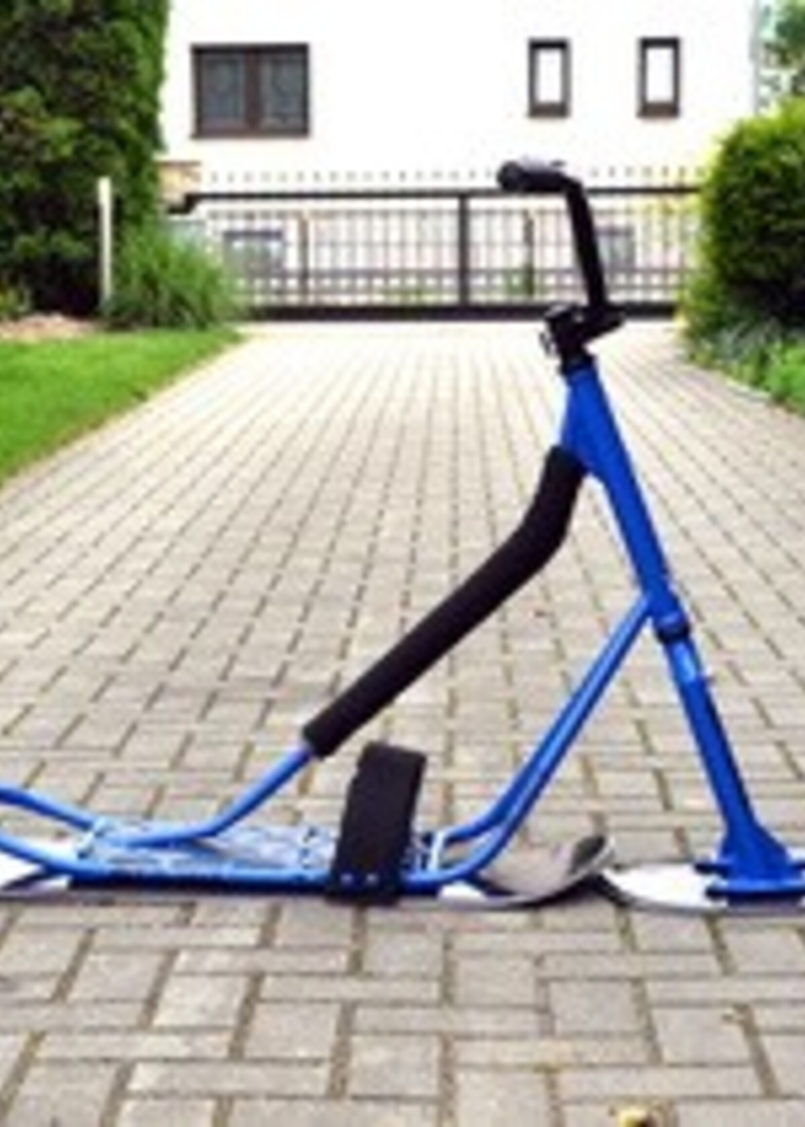 Snowbaar Beaster (Classic)