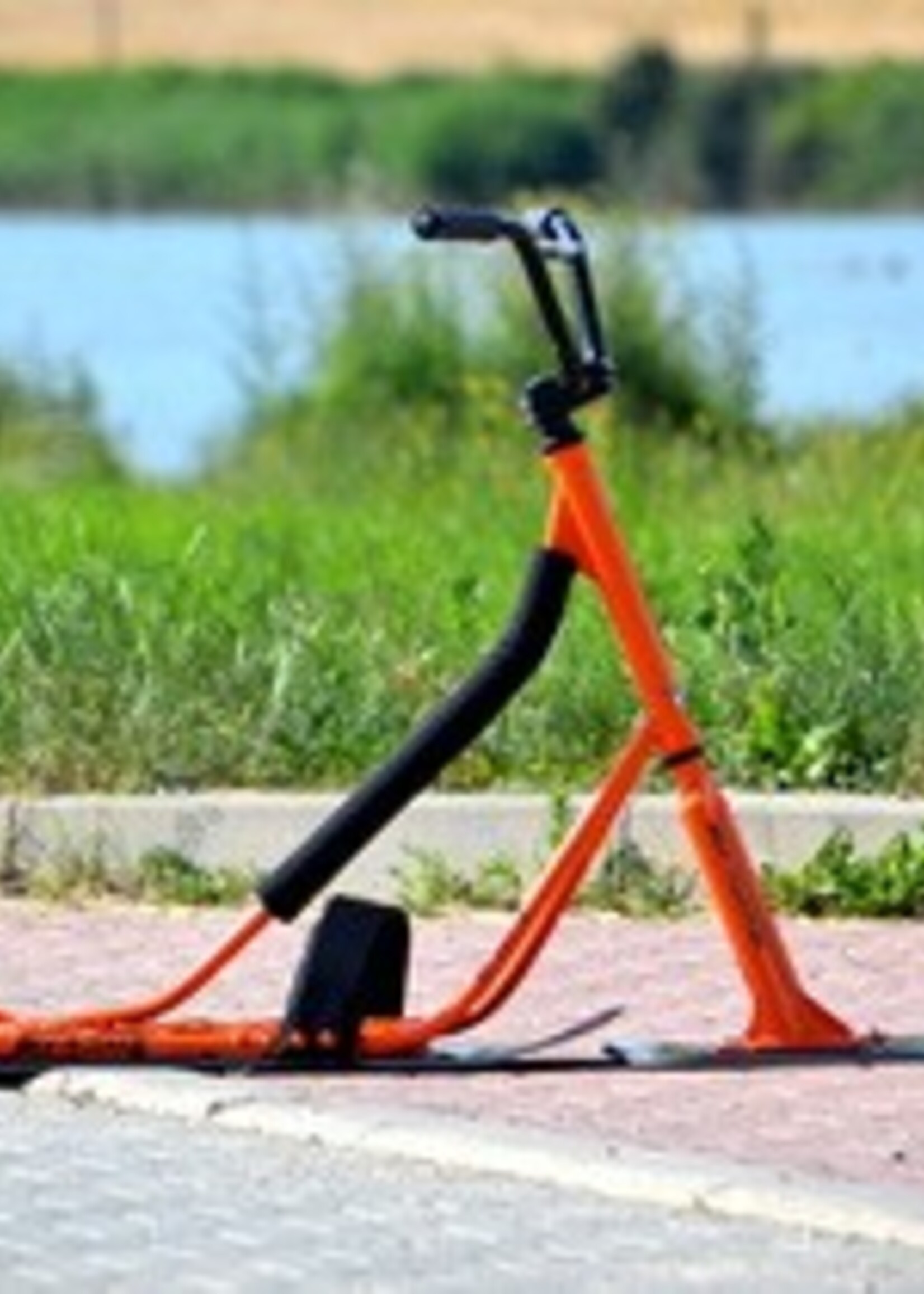 Snowbaar Beaster (Classic)