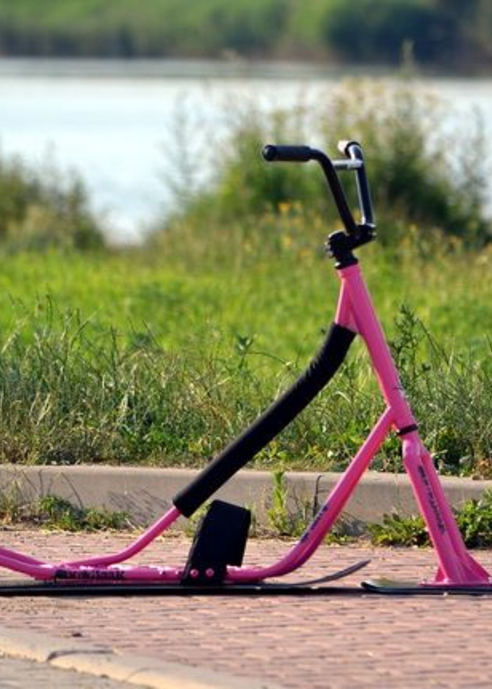 Snowbaar Beaster (Classic)