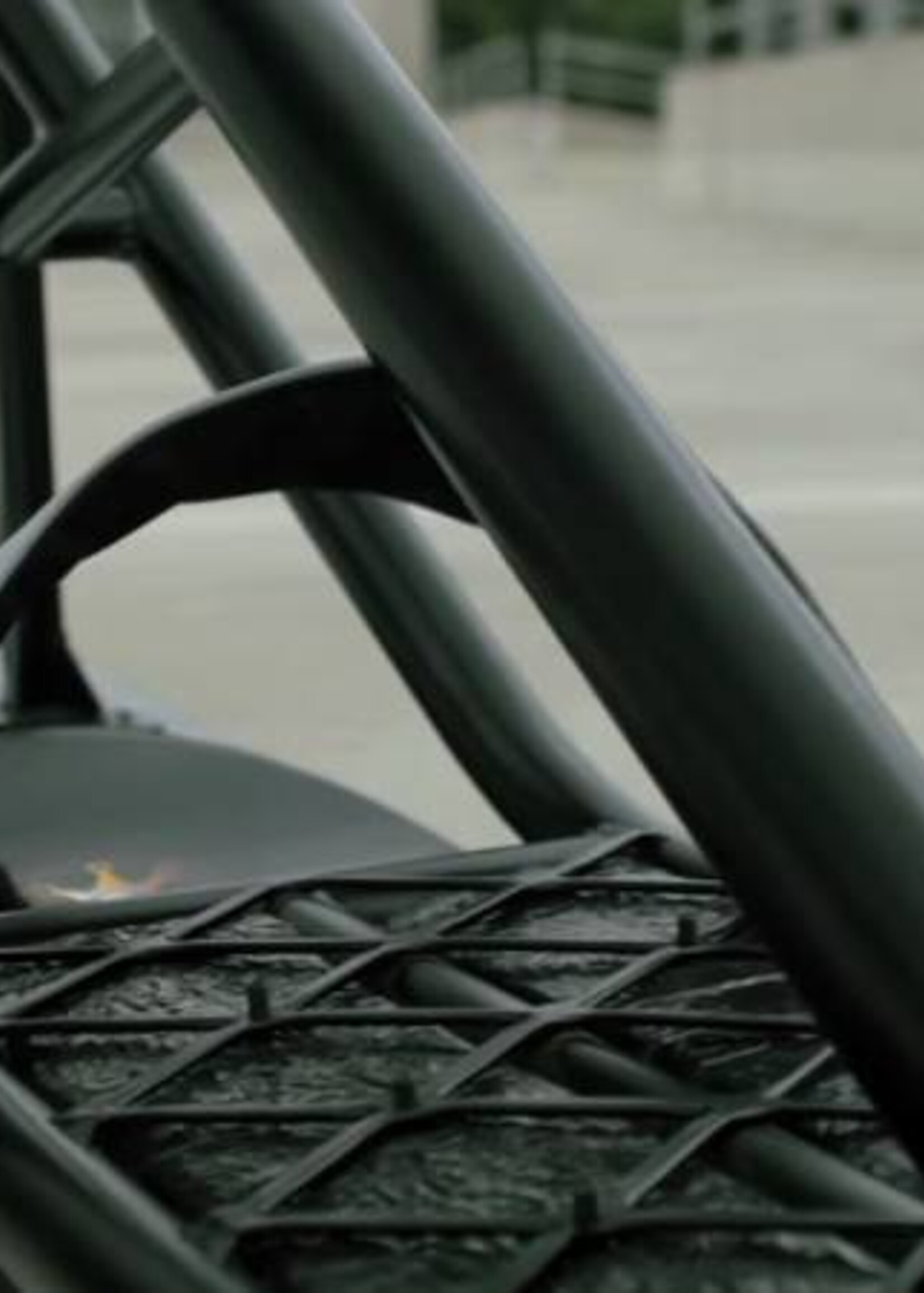 Snowbaar Snaker RACE