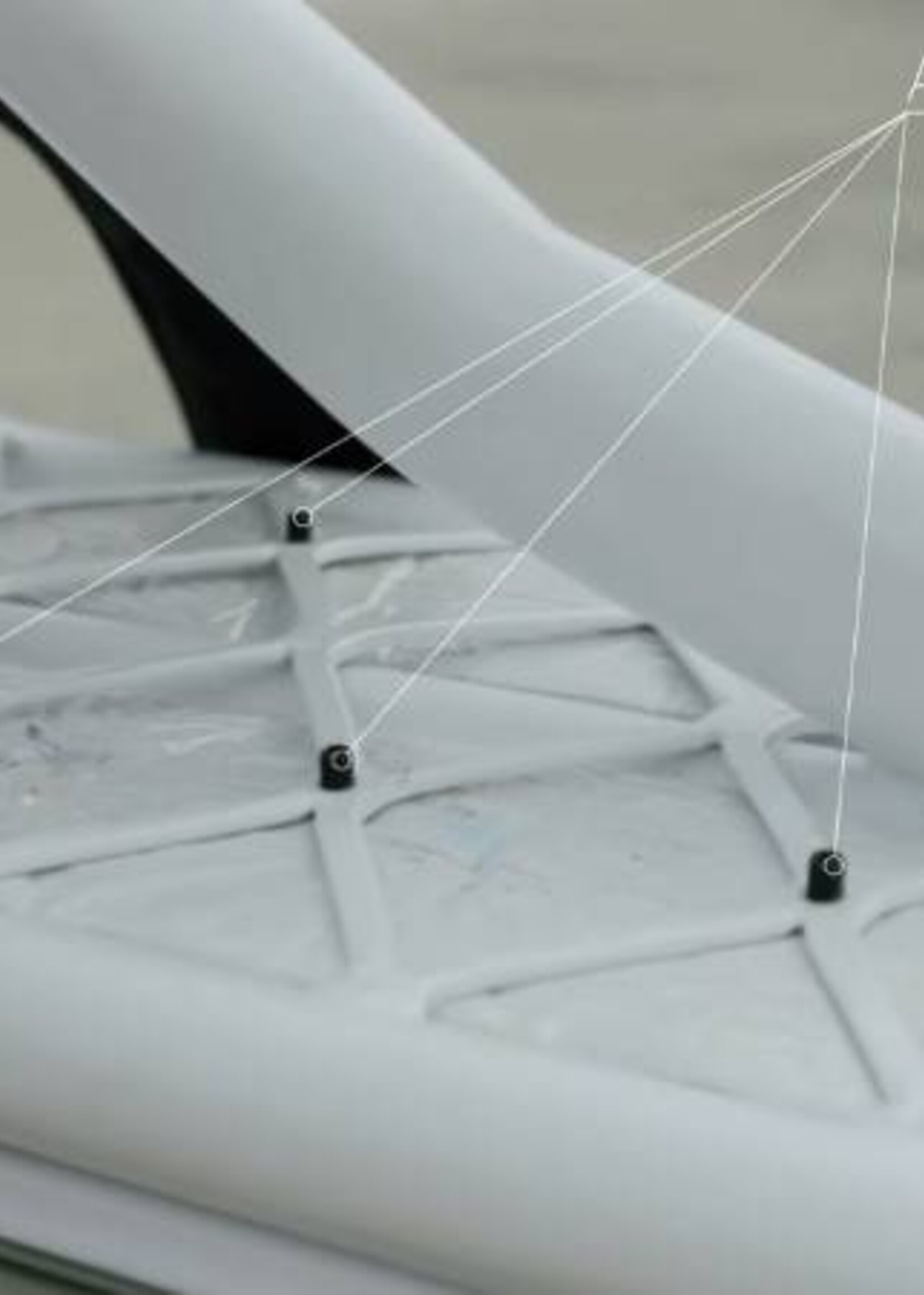 Snowbaar Beaster RACE Snowscoot of Snowbaar