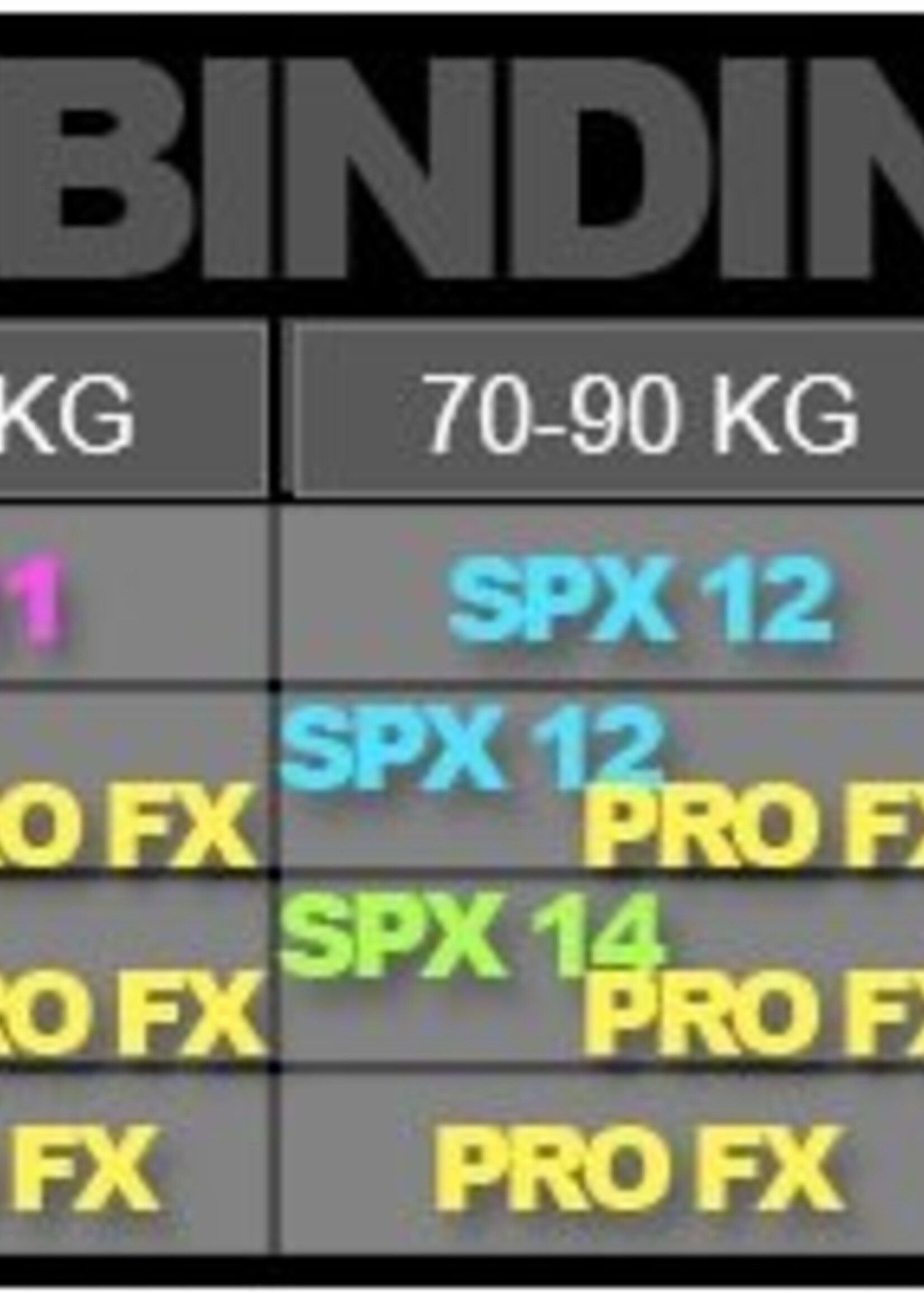 Snowgunz Monoski | Easy Ski Serie