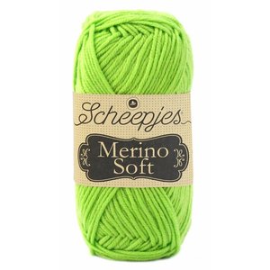 Scheepjes Merino Soft 646 - Miro