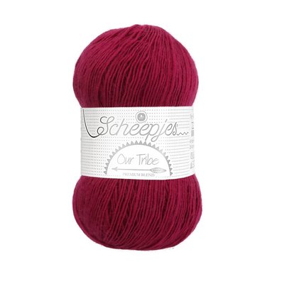 Scheepjes Our Tribe 877 - Raspberry Radiance