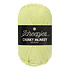 Scheepjes Chunky Monkey 1020 - Mint