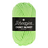 Scheepjes Chunky Monkey 1316 - Pistachio